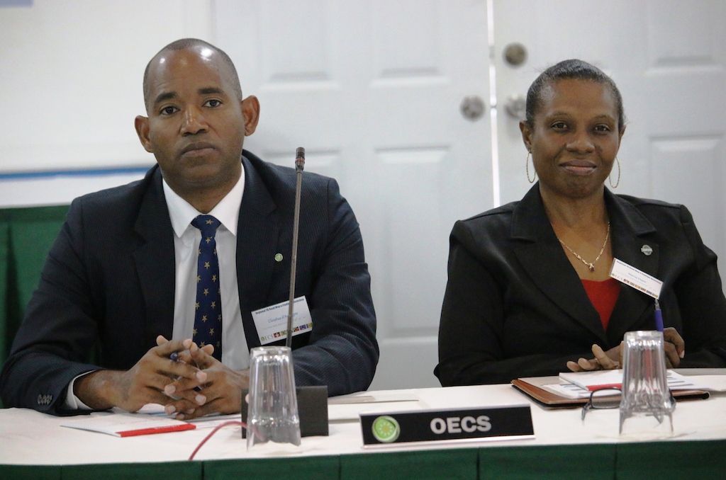OECS TB/HIV Elimination delegation.