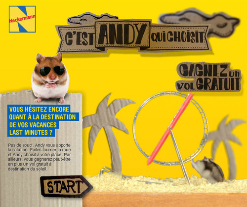 Andy 4
