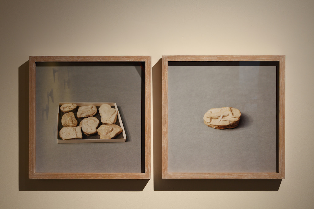 Untitled (Beringer’s Lying Stones), 2014-2015, © Natural History Museum, Londen. Courtesy the artist; Sfeir-Semler Gallery, Hamburg/Beirut<br/>Photo (c) Dirk Pauwels