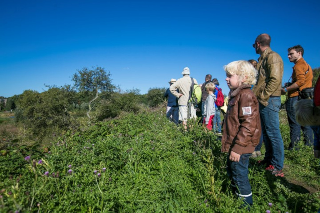 Aan de hand van het wandelknooppuntennetwerk Zuid-Dijleland maak je kennis met het historische centrum en het glooiende landschap van Overijse. Je gaat langs kleine bosjes en mooie akkerlanden waarbij je kan genieten van mooie zichten op het dorp en de omgeving. Breng zeker ook een bezoek aan het bezoekerscentrum Dru!f, waar je kan kennismaken met de recreatieve, culturele & gastronomische troeven van de streek.