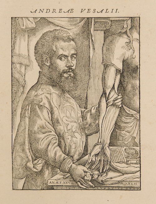 Andreas Vesalius, De Humani Corporis Fabrica Libri Septem, Basel, 1543 © KU Leuven, Universiteitsbibliotheek, CaaC17 - Bruno Vandermeulen