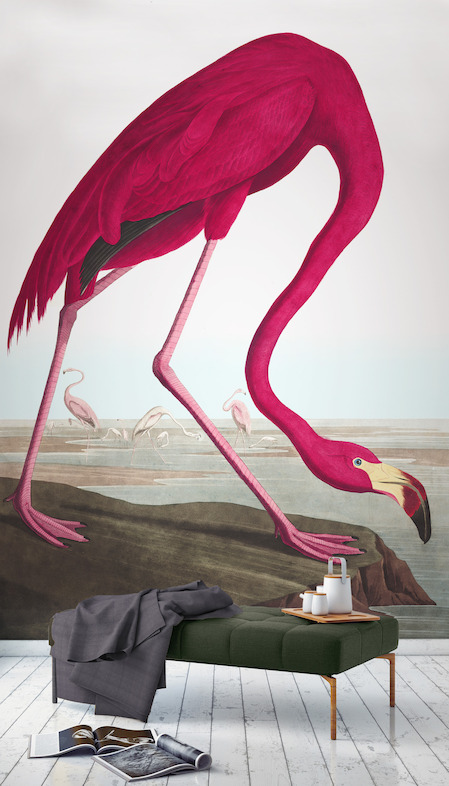 Pink Flamingo
