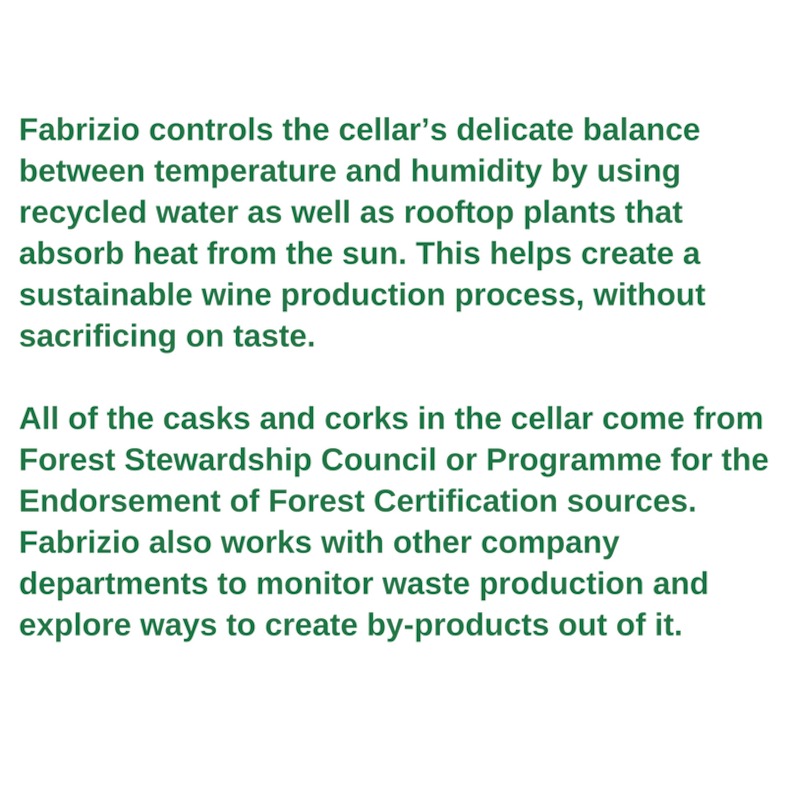 Green worker profile - Fabrizio Savino