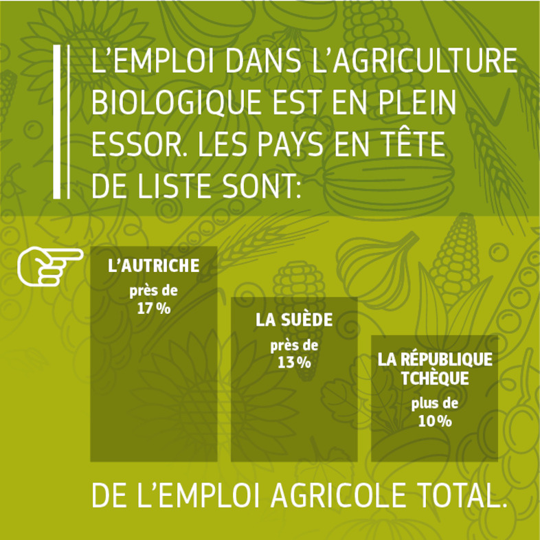 Sources: Commission européenne 2016, «Facts and figures on organic agriculture in the European Union» (Faits et chiffres sur l'agriculture biologique dans l'Union européenne): https://ec.europa.eu/agriculture/organic/sites/orgfarming/files/docs/pages/014_en.pdf. Commission européenne 2017, élaboration par la DG Environnement des données d'Eurostat.<br/>IFOAM/FIBL, «The World of Organic Agriculture. Statistics and Emerging Trends 2017» (Le monde de l'agriculture biologique. Statistiques et tendances émergentes 2017): https://shop.fibl.org/chen/mwdownloads/download/link/id/785/