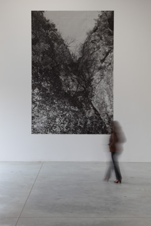 Dirk Braeckman, F.E.L.S. #1-2010<br/>© M – Museum Leuven. Photo: Dirk Pauwels, 2011
