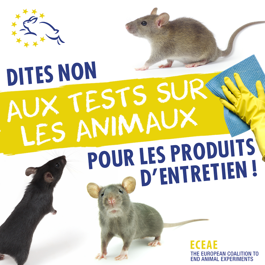 « Ne passez pas l’éponge sur la souffrance animale ! »