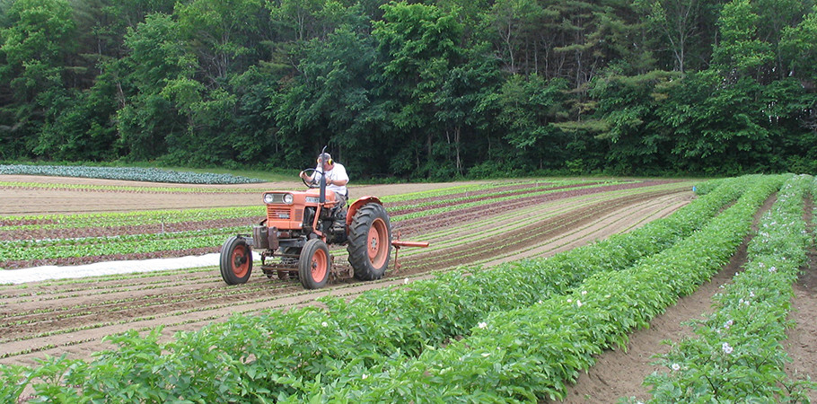 Cooperative Pushes for Local Understanding
