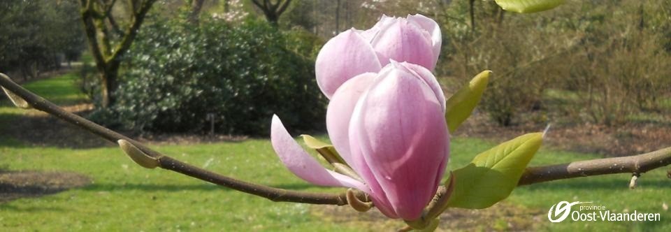 Dag van het Arboretum in provinciaal domein Het Leen in Eeklo - zondag 23 april 2017