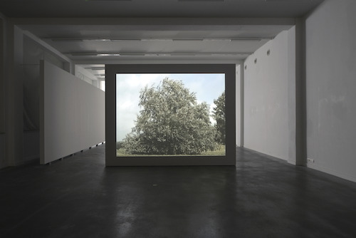 David Claerbout, Boom, Tree, Arbre, 1996 (still) © Isabelle Arthuis
