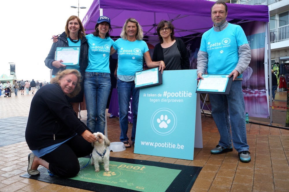 IPSOS-ENQUÊTE: 78% WEST-VLAMINGEN PRO VERBOD OP PROEVEN OP HONDEN EN KATTEN
