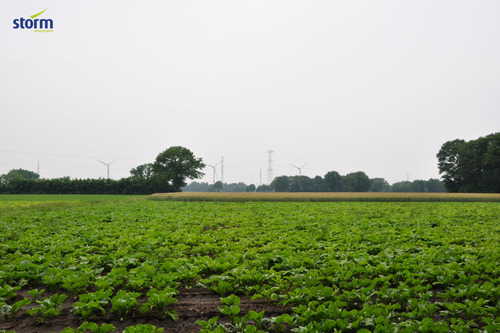 Storm-windpark Geel: visualisatie 1