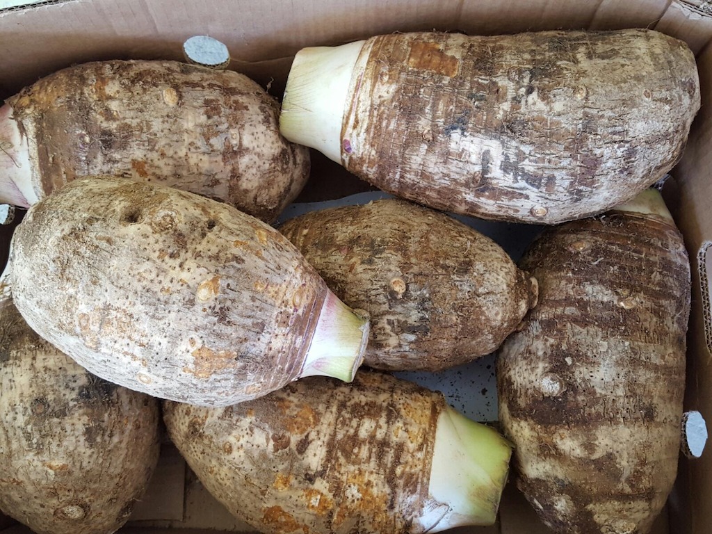 Boxed dasheen, ready to be exported.