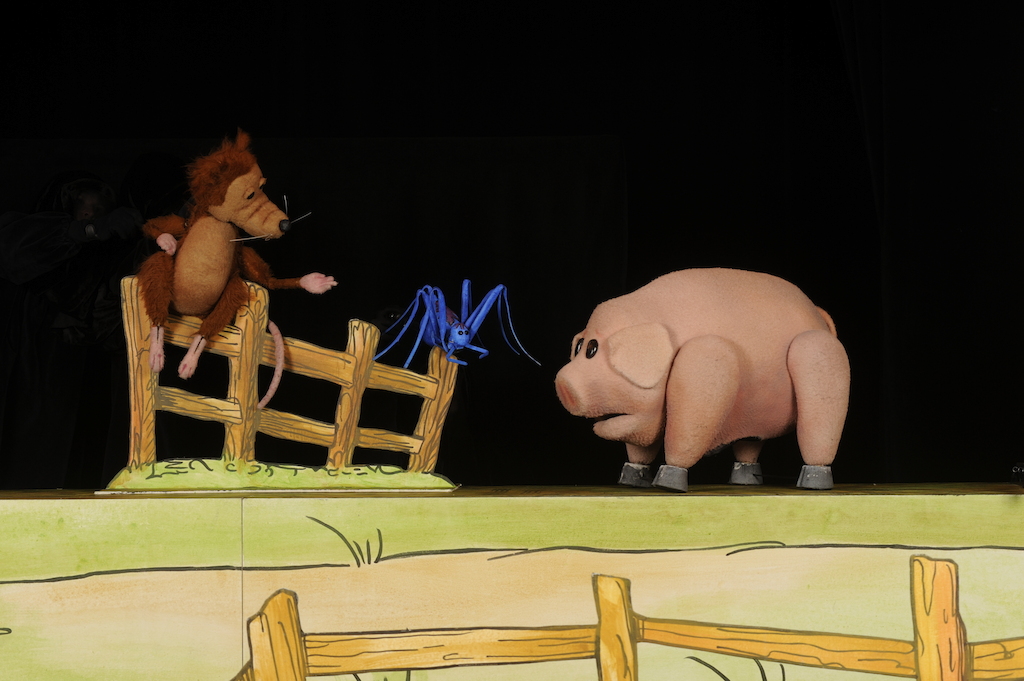 Charlotte's Web (Photo by Rod Reilly)