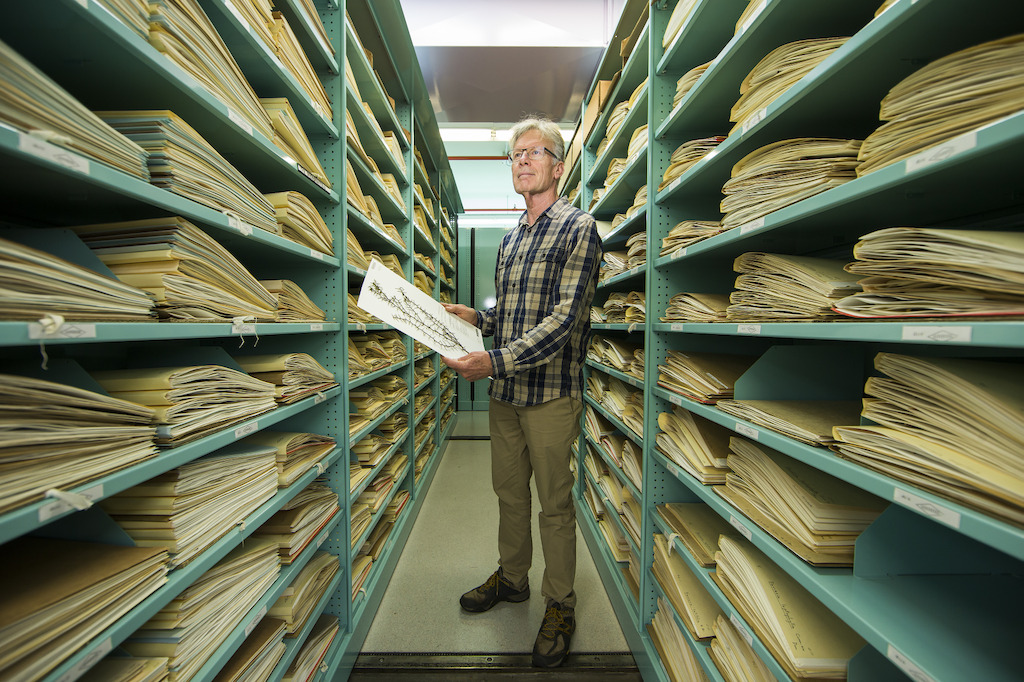 Emeritus Professor Mike Crisp. Image: Stuart Hay, ANU.