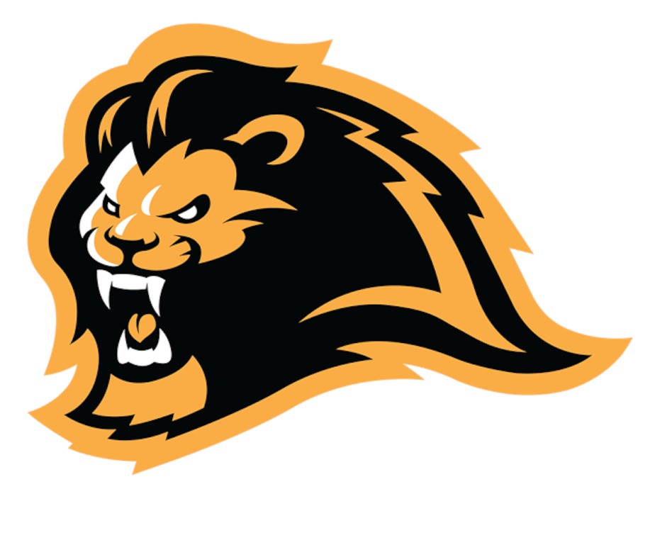 Lyon Gaming LOGO