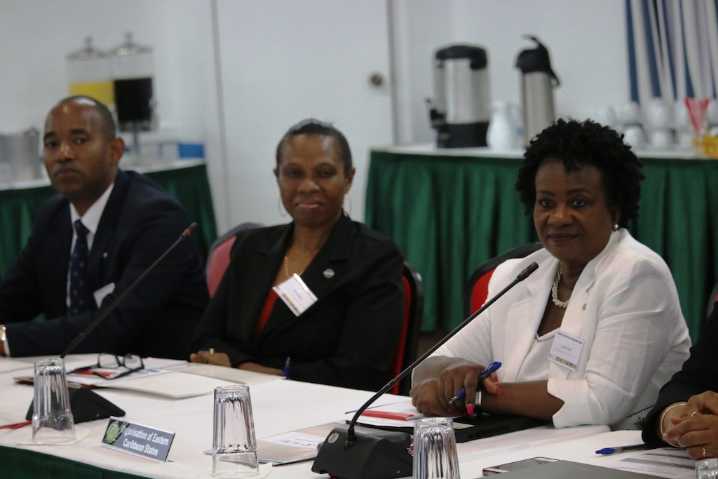 OECS TB/HIV Elimination delegation.