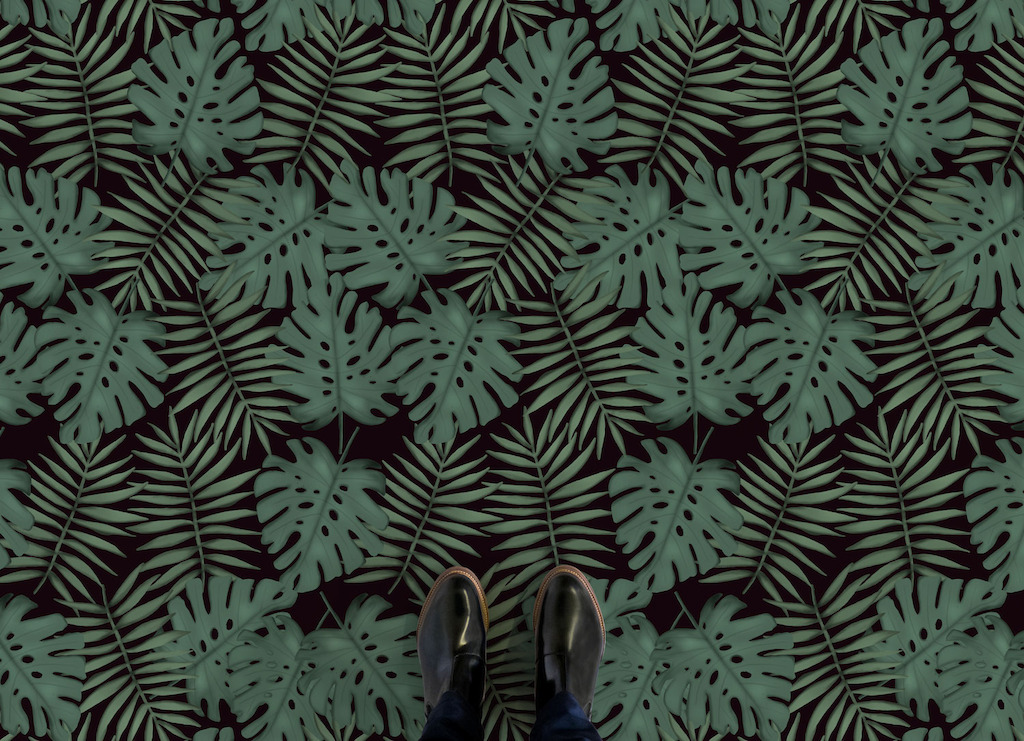 Monstera