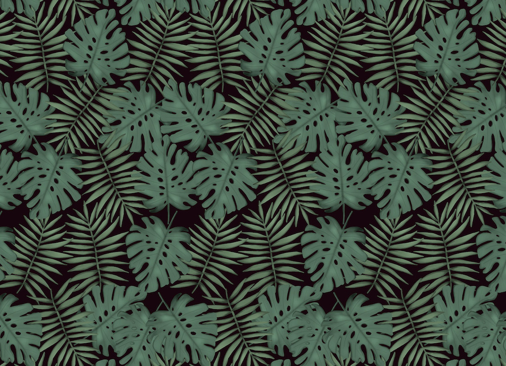 Monstera