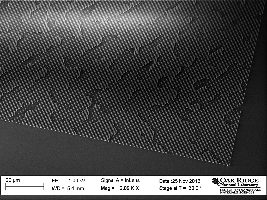 Nano pillars macro 1