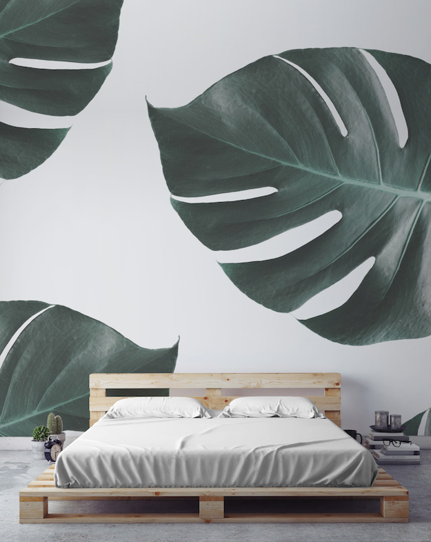 Monstera Leaf