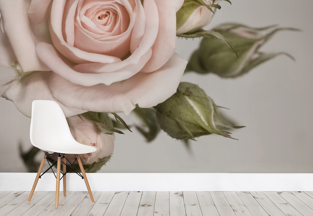 Elegant Pink Rose Wallpaper Mural