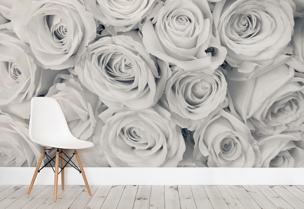 Rose Mist Wallpaper Mural