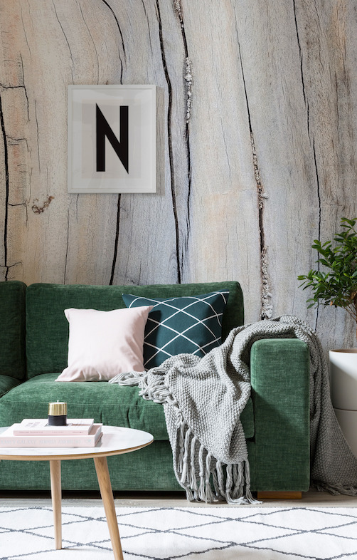Driftwood Detail Wall Mural