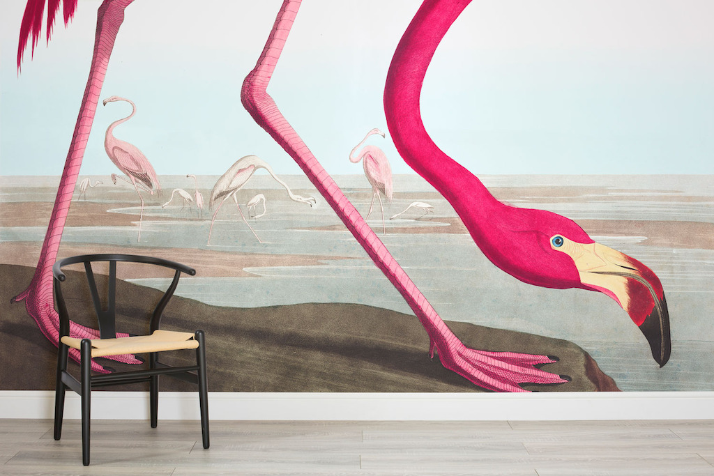 Pink Flamingo