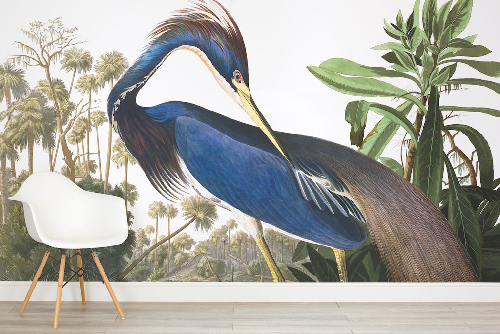 Blue Heron