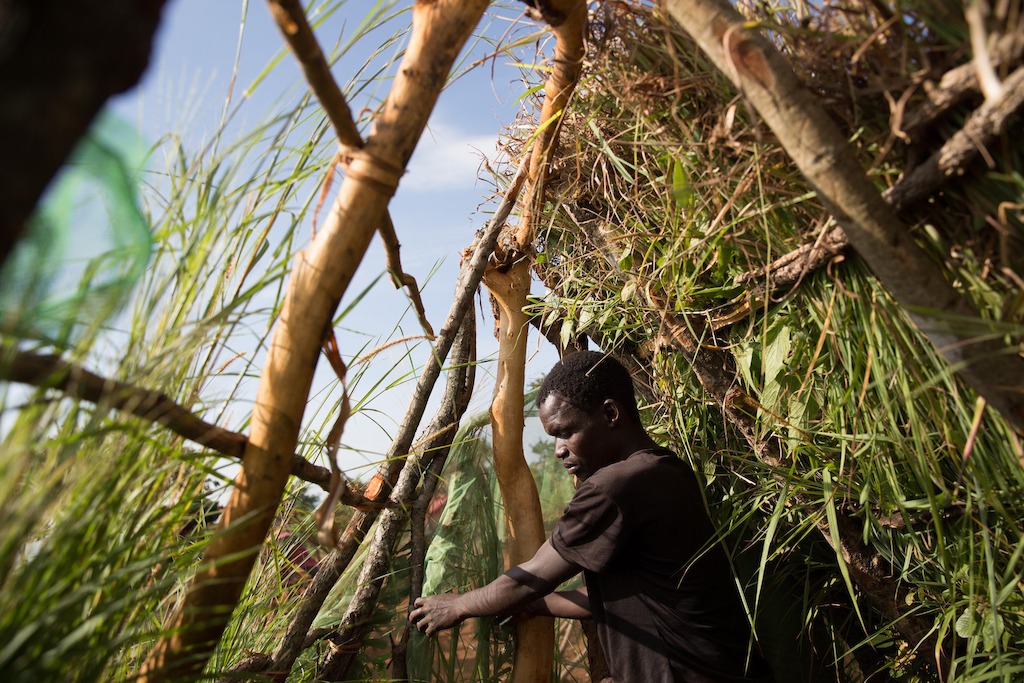 A man builds a shelter. Over 5.800 Mozambican nationals have camped in the village of Kapise 2 in Malawi after fleeing their homes in Mozambique. The overcrowding and the nature of the makeshift constructions in the camp, made of foraged wood and grass, make it a fire hazard. © James Oatway / MSF
