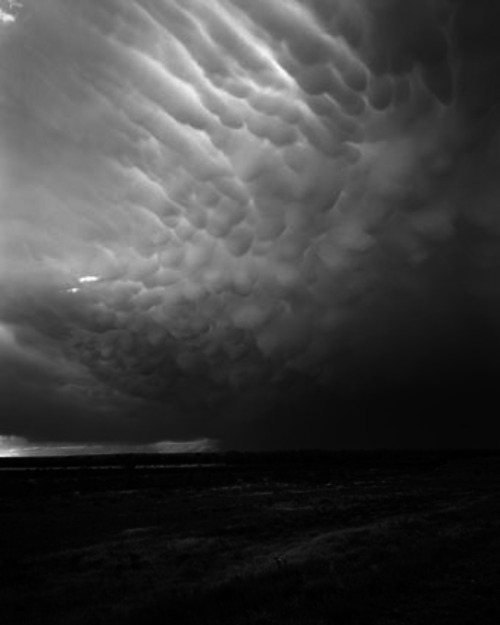 Geert Goiris, Mammatus, 2010