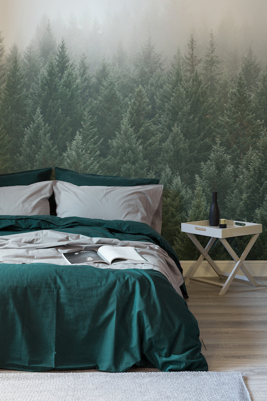 Crisp Pines Forest Wallpaper