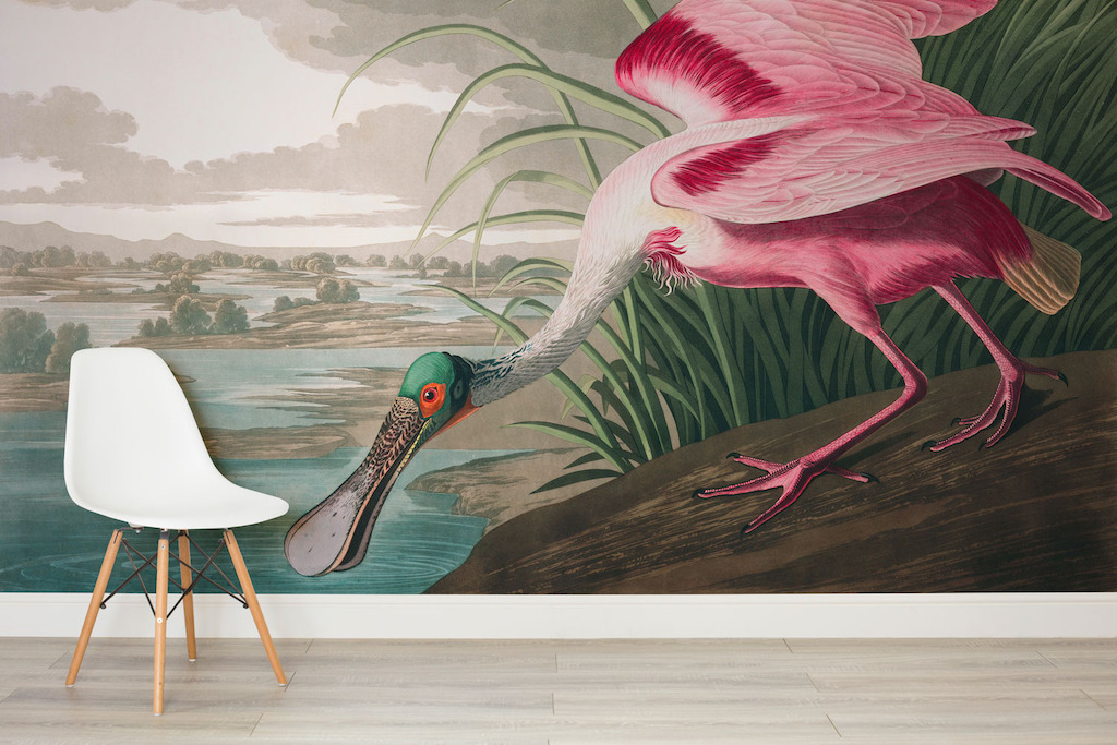 Roseate Spoonbill