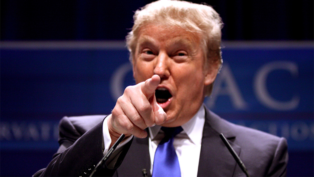 US President Donald Trump. Image: wiki