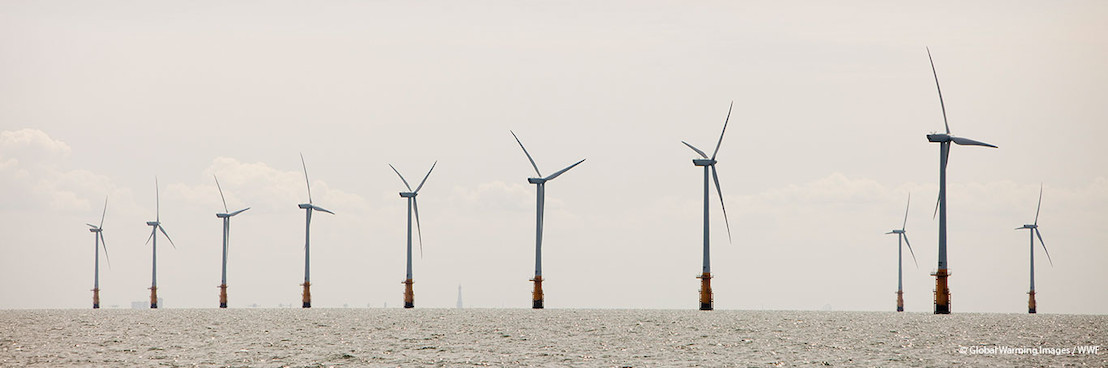 “Maak een succes van snelle uitbouw van wind op zee”