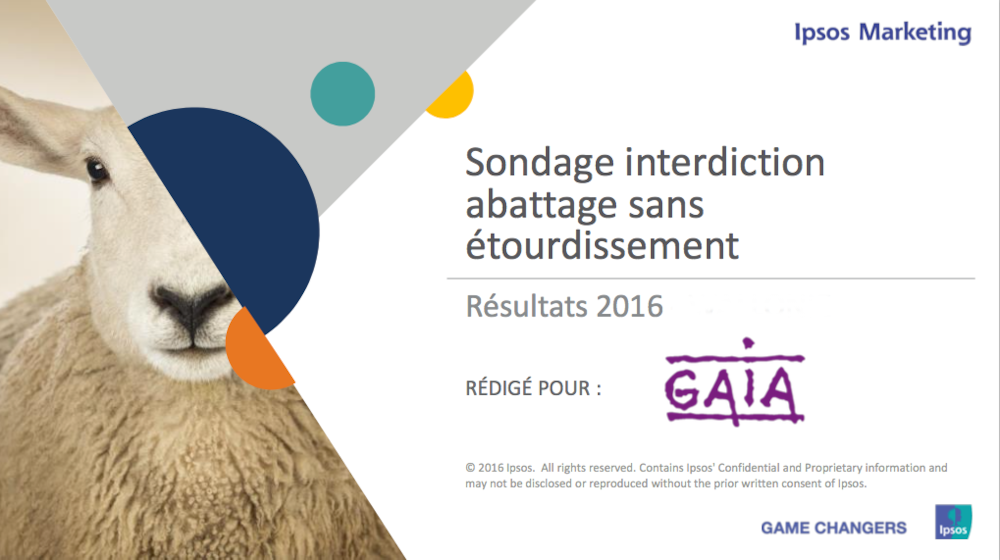 22% des électeurs wallons et 14% des électeurs bruxellois prêts à voter pour un autre parti si le leur ne souhaite pas interdire l’abattage sans étourdissement