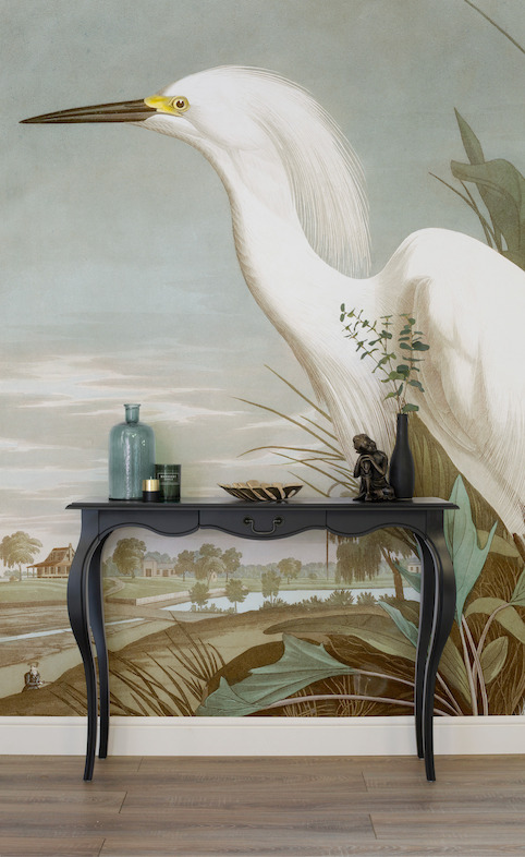 Snowy Heron
