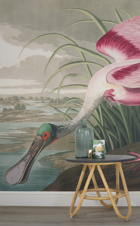 Roseate Spoonbill