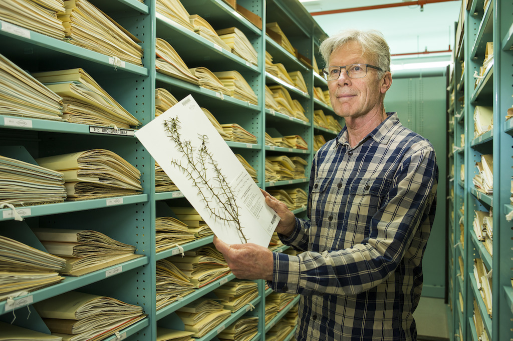 Emeritus Professor Mike Crisp. Image: Stuart Hay, ANU.