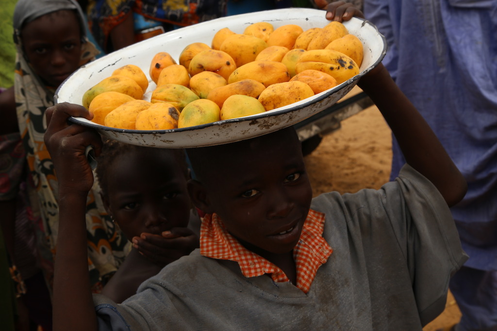 Displaced in Borno state. Photographer: Igor Barbero