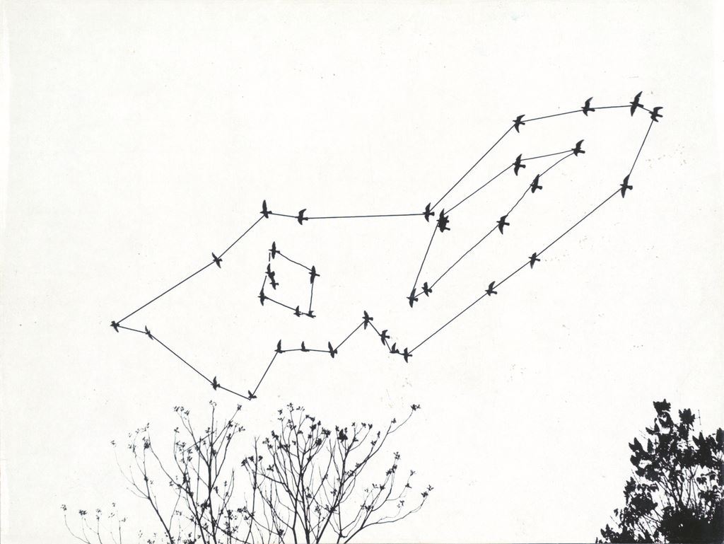 © Philippe Van Snick, Duif en Duiven, 1974