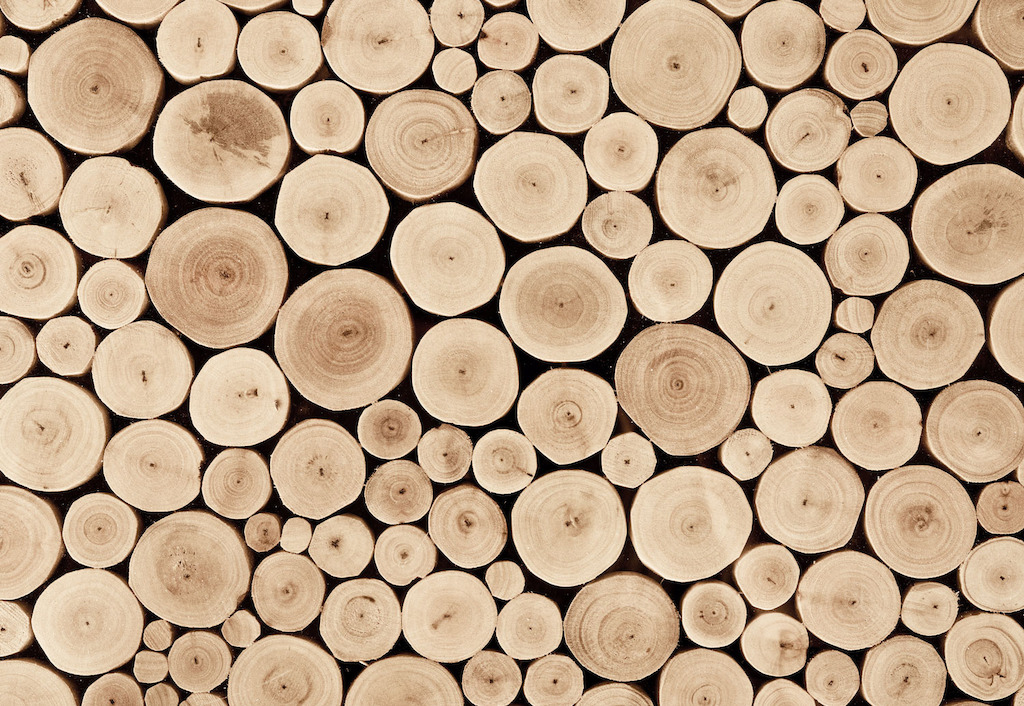 Chopped Beech Logs Wall Mural