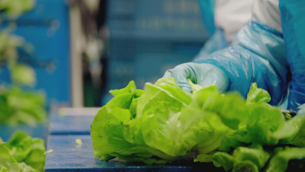 Voorverpakte sla<br/>Over eten (c) VRT