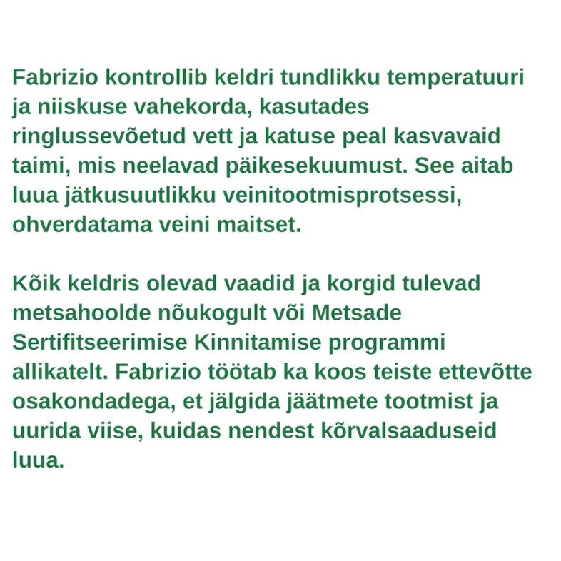 Rohelise töötaja profiil - Fabrizio Savino