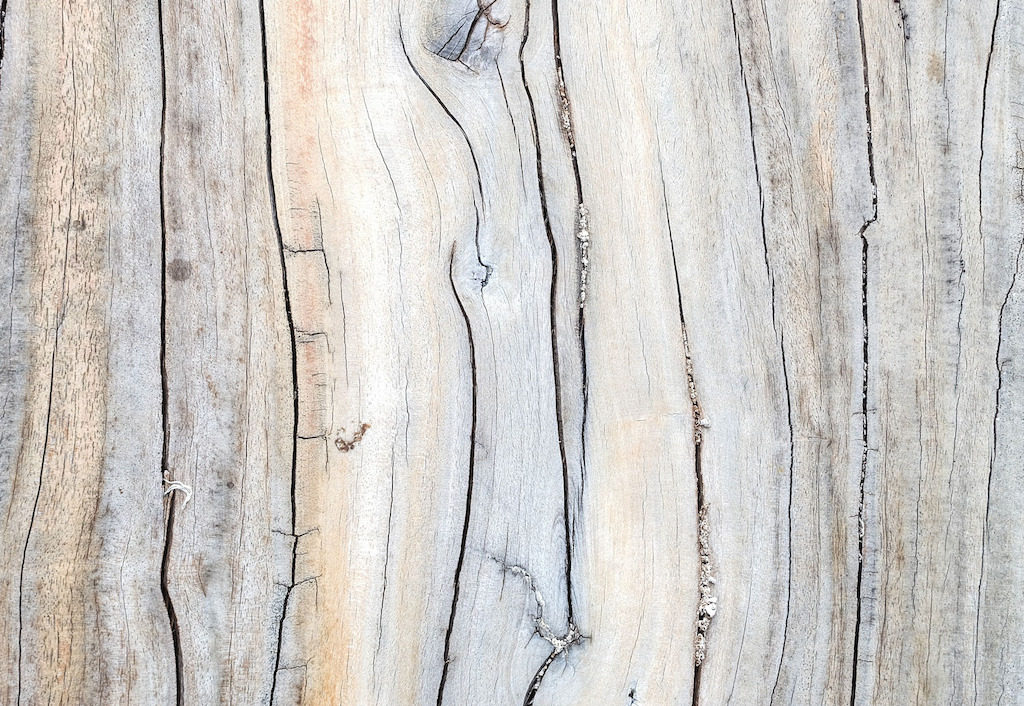 Driftwood Detail Wall Mural