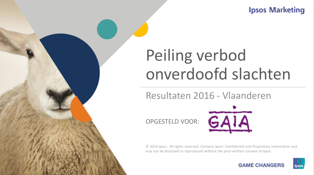 15 % van de kiesgerechtigde Vlamingen stemt voor andere partij indien hun voorkeurparij zich verzet tegen verbod op onverdoofd slachten