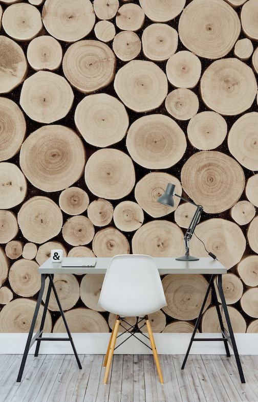 Chopped Beech Logs Wall Mural