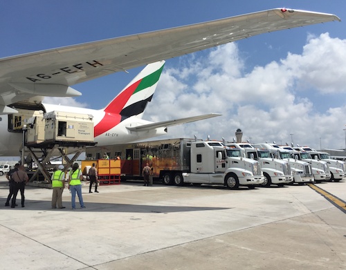 Emirates SkyCargo transports close to 100 horses across three continents