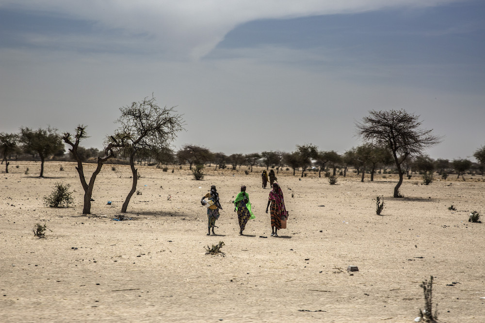 Diffa: The burden of violence