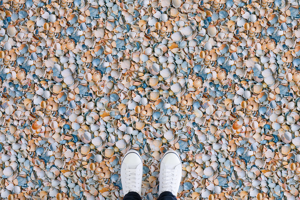 Shell | <br/>Shell Texture Vinyl Flooring